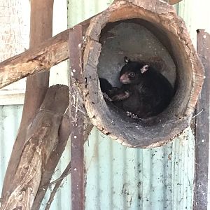 WaterwaysWildlifePark