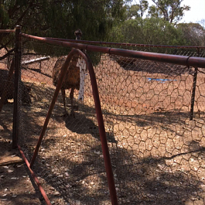 WaterwaysWildlifePark