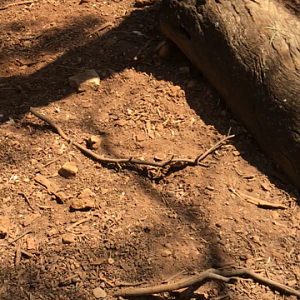 WaterwaysWildlifePark