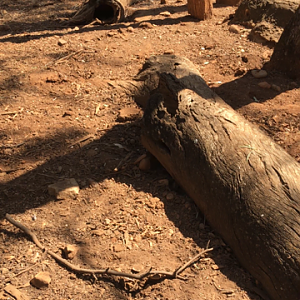 WaterwaysWildlifePark