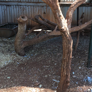 WaterwaysWildlifePark