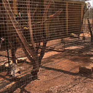 WaterwaysWildlifePark