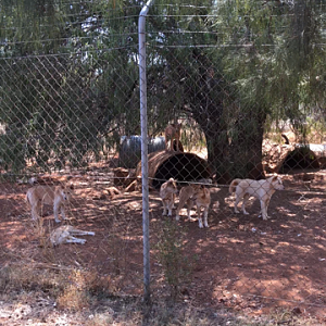 WaterwaysWildlifePark