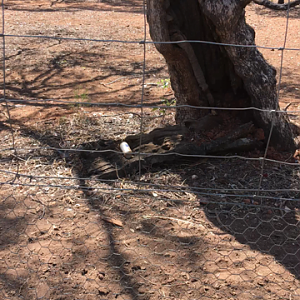 WaterwaysWildlifePark