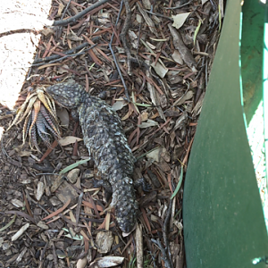 WaterwaysWildlifePark