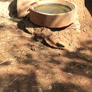 WaterwaysWildlifePark