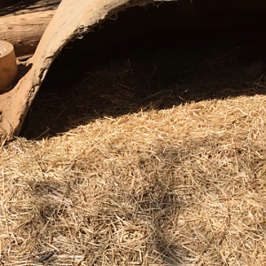 WaterwaysWildlifePark