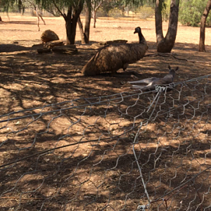 WaterwaysWildlifePark