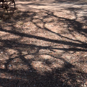 WaterwaysWildlifePark