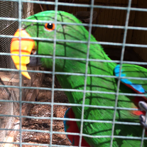 WaterwaysWildlifePark