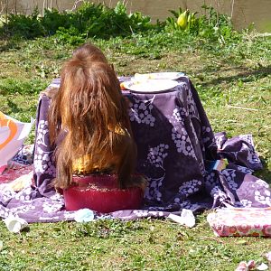 Orang birthday party, 11 April 2016