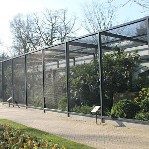 Aviaries