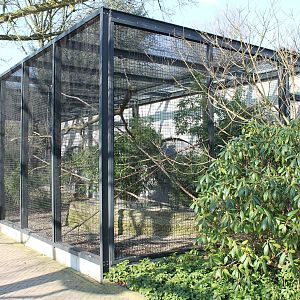 Aviaries