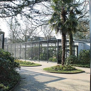 Aviaries