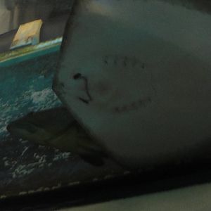 L'Aquarium Barcelona: February 2016