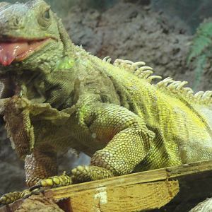 L'Aquarium Barcelona: February 2016