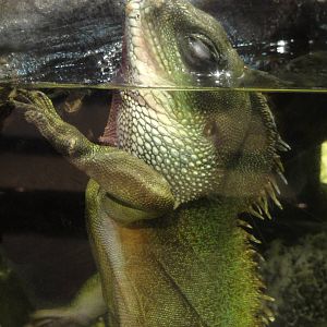 L'Aquarium Barcelona: February 2016