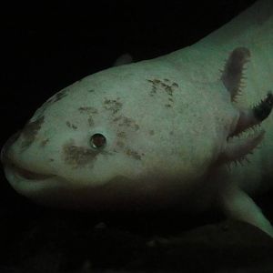 L'Aquarium Barcelona: February 2016