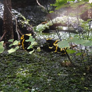 L'Aquarium Barcelona: February 2016