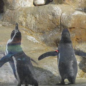 L'Aquarium Barcelona: February 2016