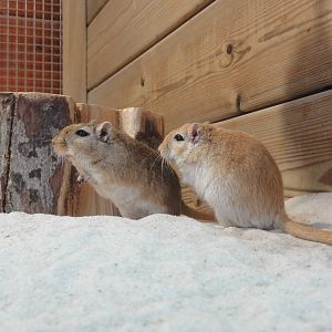 Barcelona Zoo; March 2016