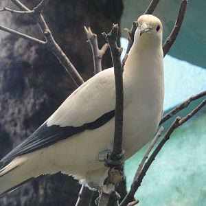Barcelona Zoo; March 2016