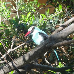 Barcelona Zoo; March 2016