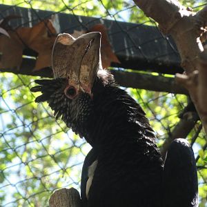 Barcelona Zoo; March 2016