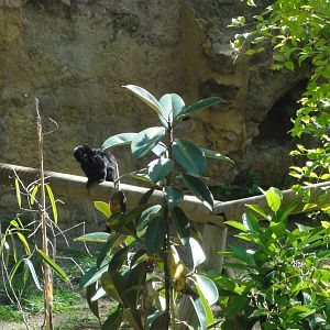 Barcelona Zoo; March 2016