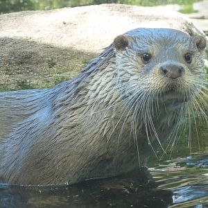 Barcelona Zoo; March 2016