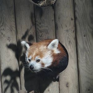 Barcelona Zoo; March 2016