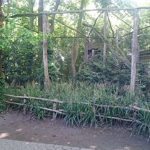 Eurasian eagle owl aviary