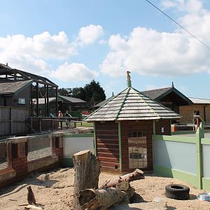 Monkey Haven -Meerkat Enclosures