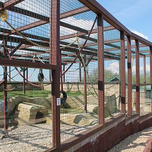 Monkey Haven - Barbary Macaque Enclosure