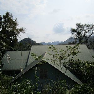 Cuc Phuong National Park - View from my bedroom