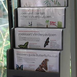 ID-cards Butterfly-walk-through