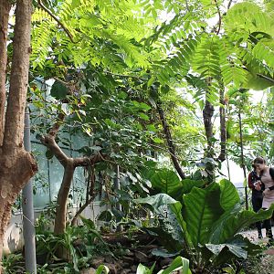 View in Butterfly-walk-through