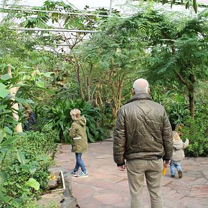 View in the Butterfly walk-through