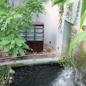 Waterfall and hatching box