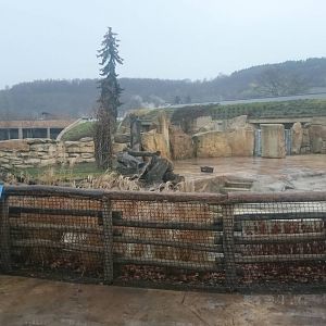 Hippo outdoor enclosure