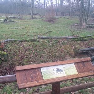 Brown hyena enclosure