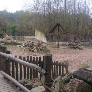 Lowland tapir enclosure