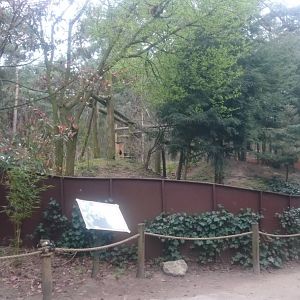 Red panda enclosure