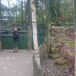 Asian small-clawed otter enclosure