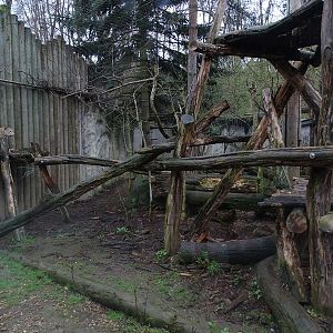 Jihlava 04/2016: Persian leopard enclosure