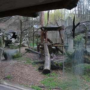 Jihlava 04/2016: Snow leopard enclosure