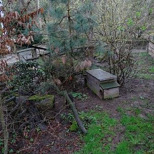 Jihlava 04/2016: Raccoon enclosure