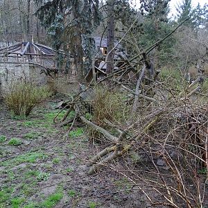 Jihlava 04/2016: Coati enclosure