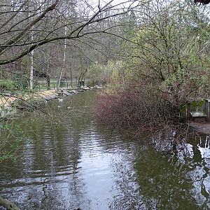Jihlava 04/2016: Waterfowl/pelican pond