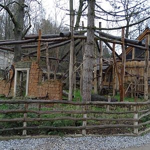 Jihlava 04/2016: Gibbons outdoors